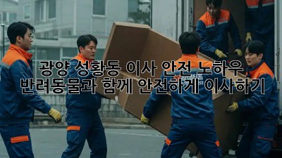 광양 성황동 이사 안전 노하우: 반려동물과 함께 안전하게 이사하기!🐶🏠