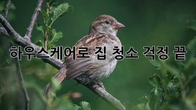 하우스케어로 집 청소 걱정 끝!